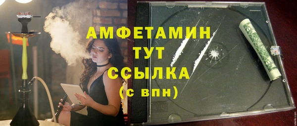 прущие грибы Алзамай