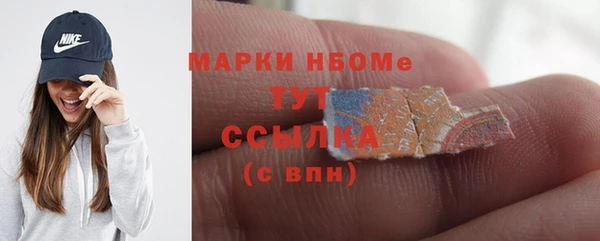 прущие грибы Алзамай