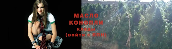 прущие грибы Алзамай