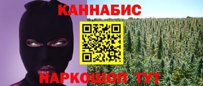 Альфа ПВП Сланцы