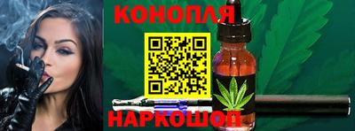 Альфа ПВП Сланцы