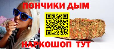 Альфа ПВП Сланцы