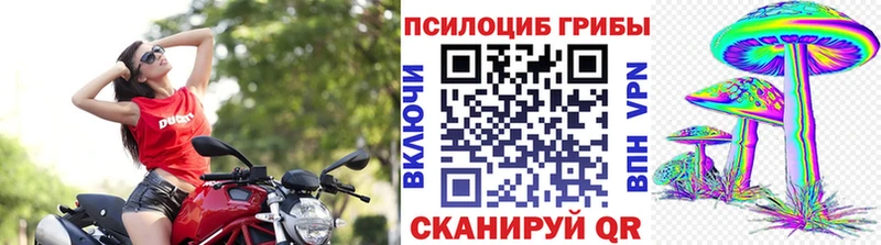 дарнет шоп  сайты даркнета формула  Псилоцибиновые грибы мицелий  Феодосия 