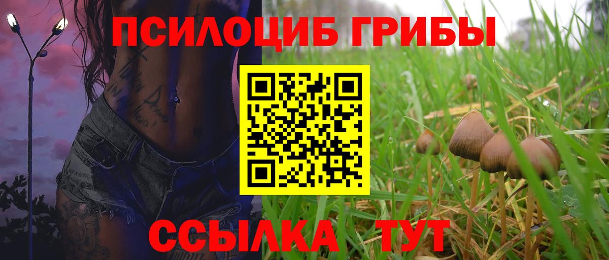 Псилоцибиновые грибы прущие грибы Феодосия