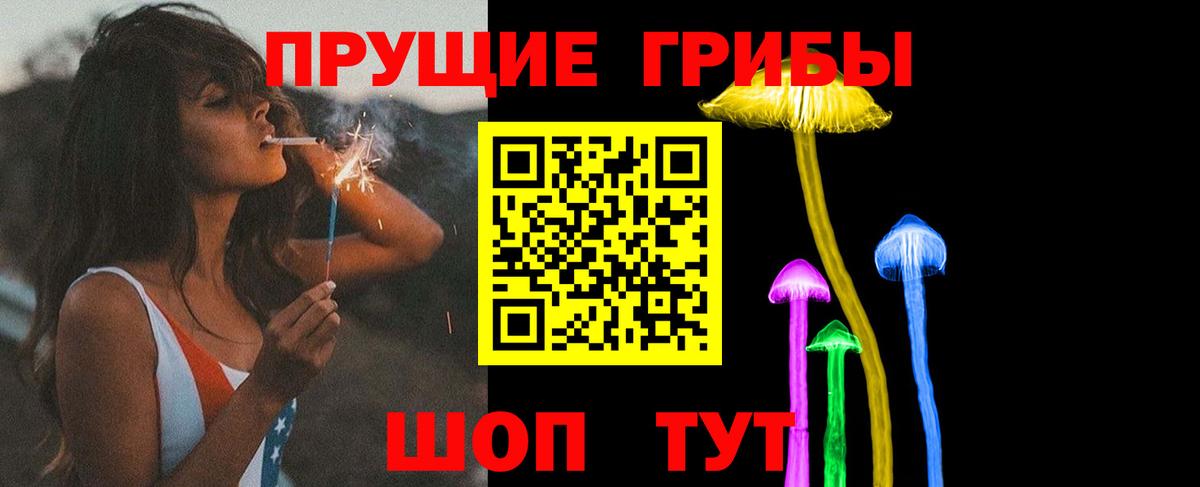 где купить наркоту  Псилоцибиновые грибы Psilocybine cubensis  Вход с VPN  Феодосия 